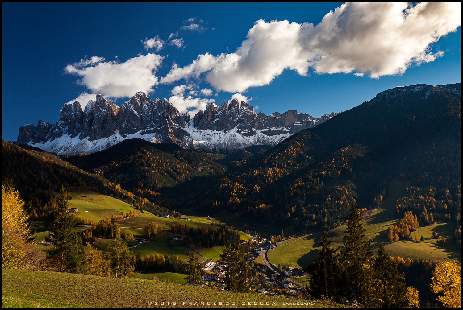 Larches in Val di Funes