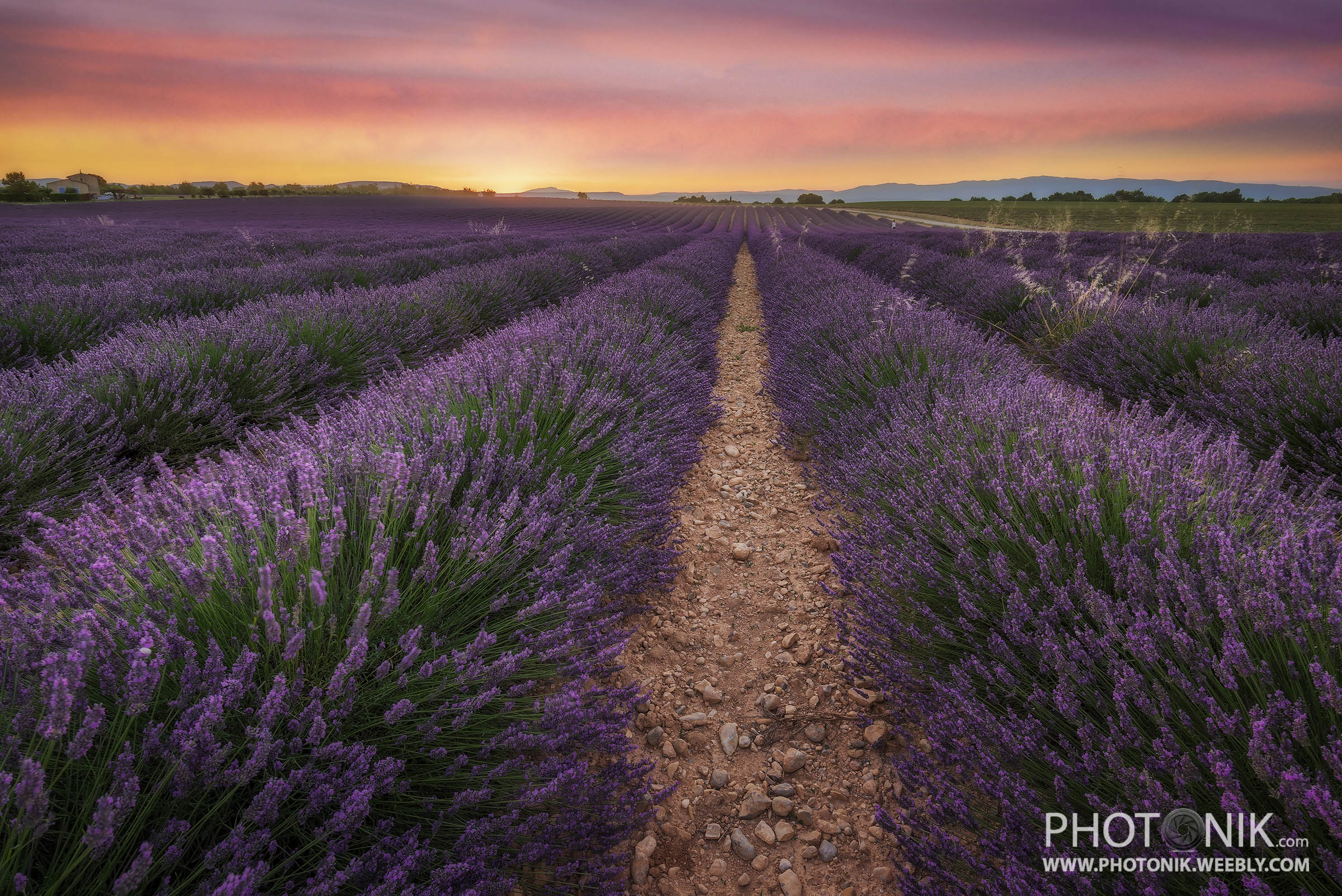 Tramonto a Valensole