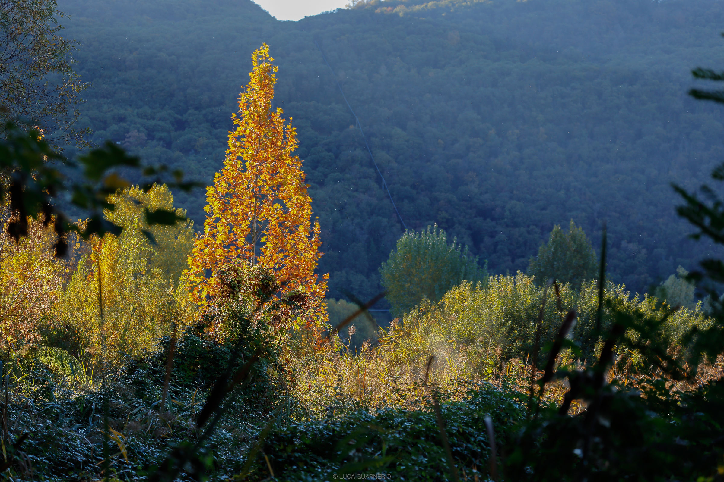 Autumn in Franciacorta