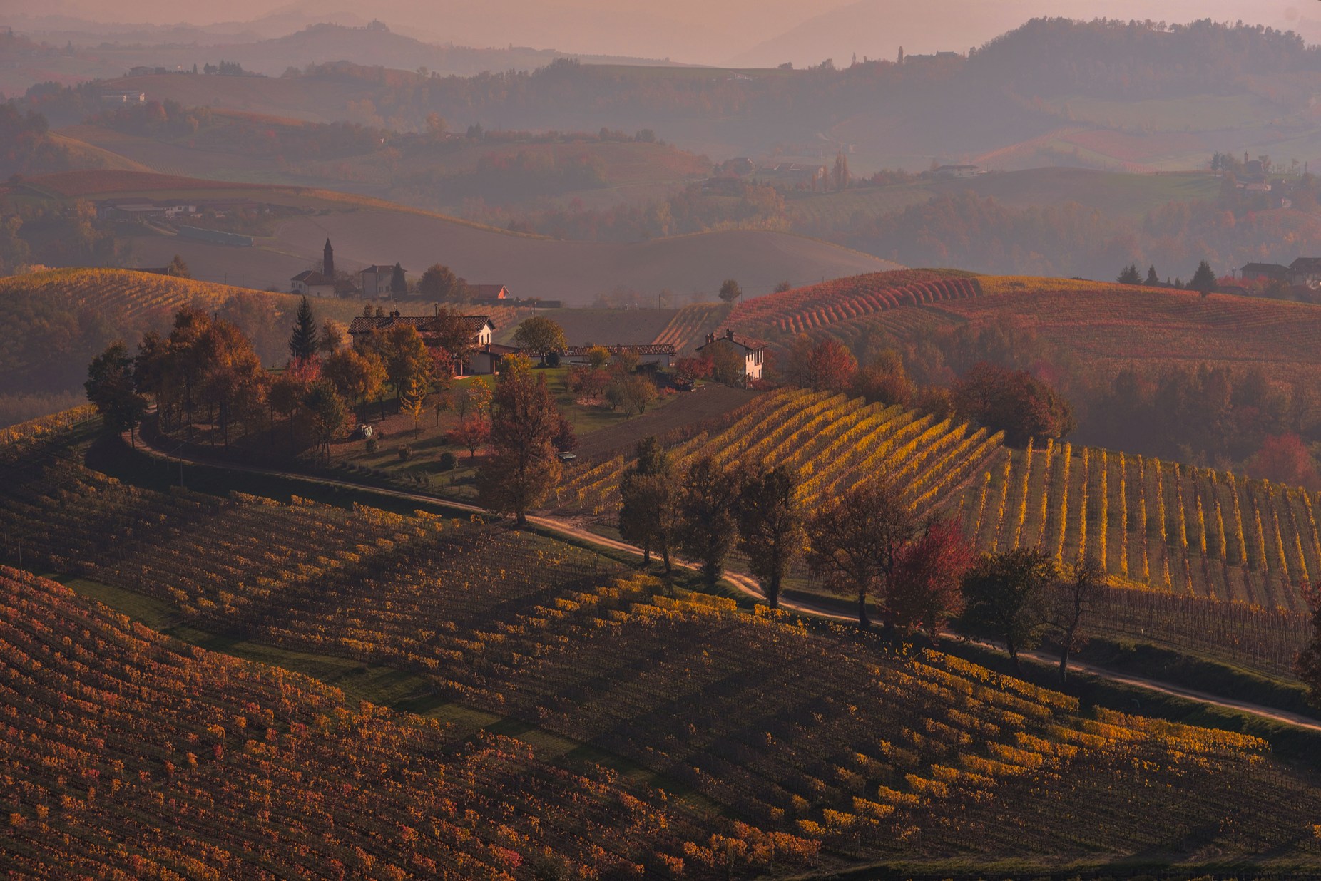 Crepuscolo autunnale nelle Langhe