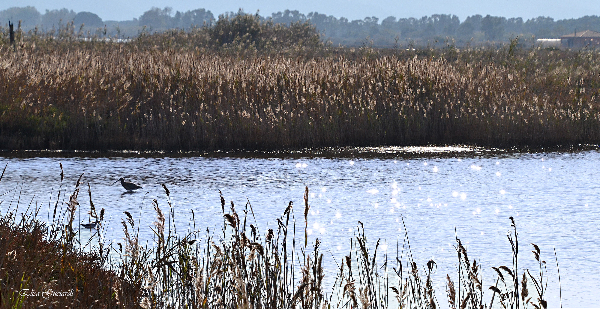 laguna di Orbetello
