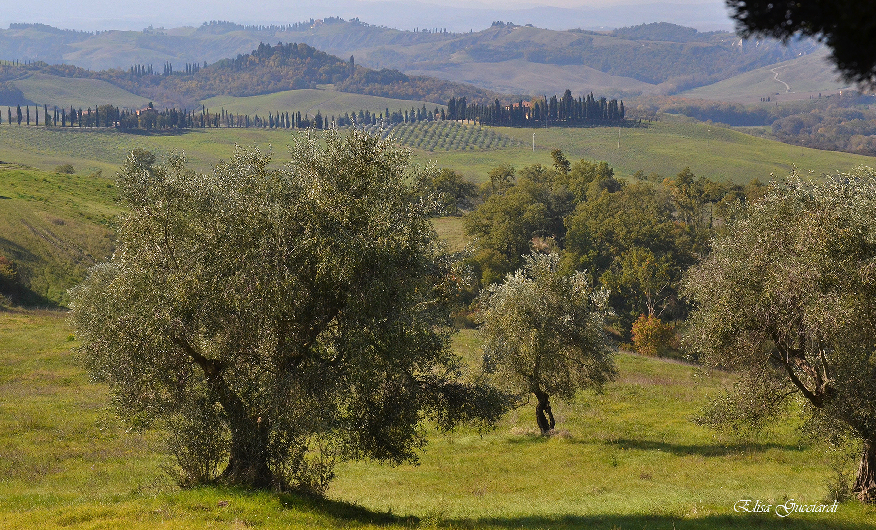 autunno in toscana, senese