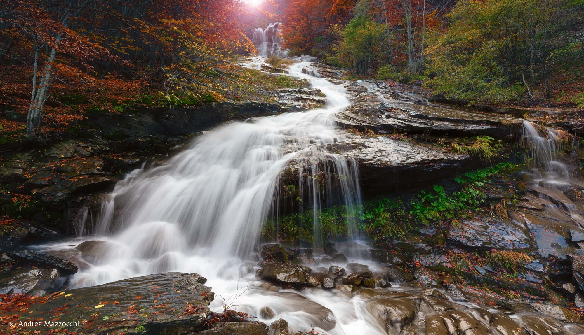 Meravigliosa.......natura