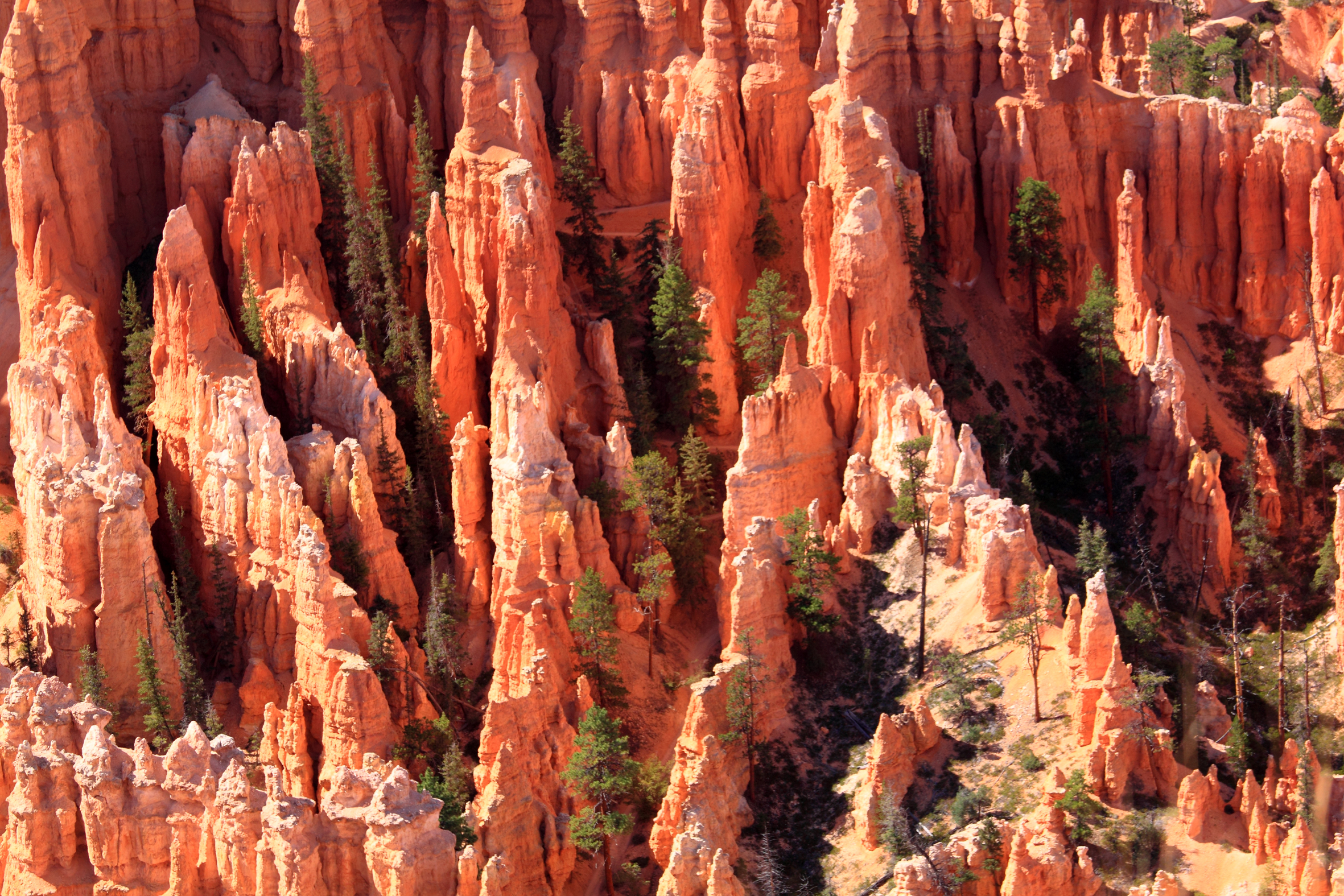 guglie del Bryce canyon