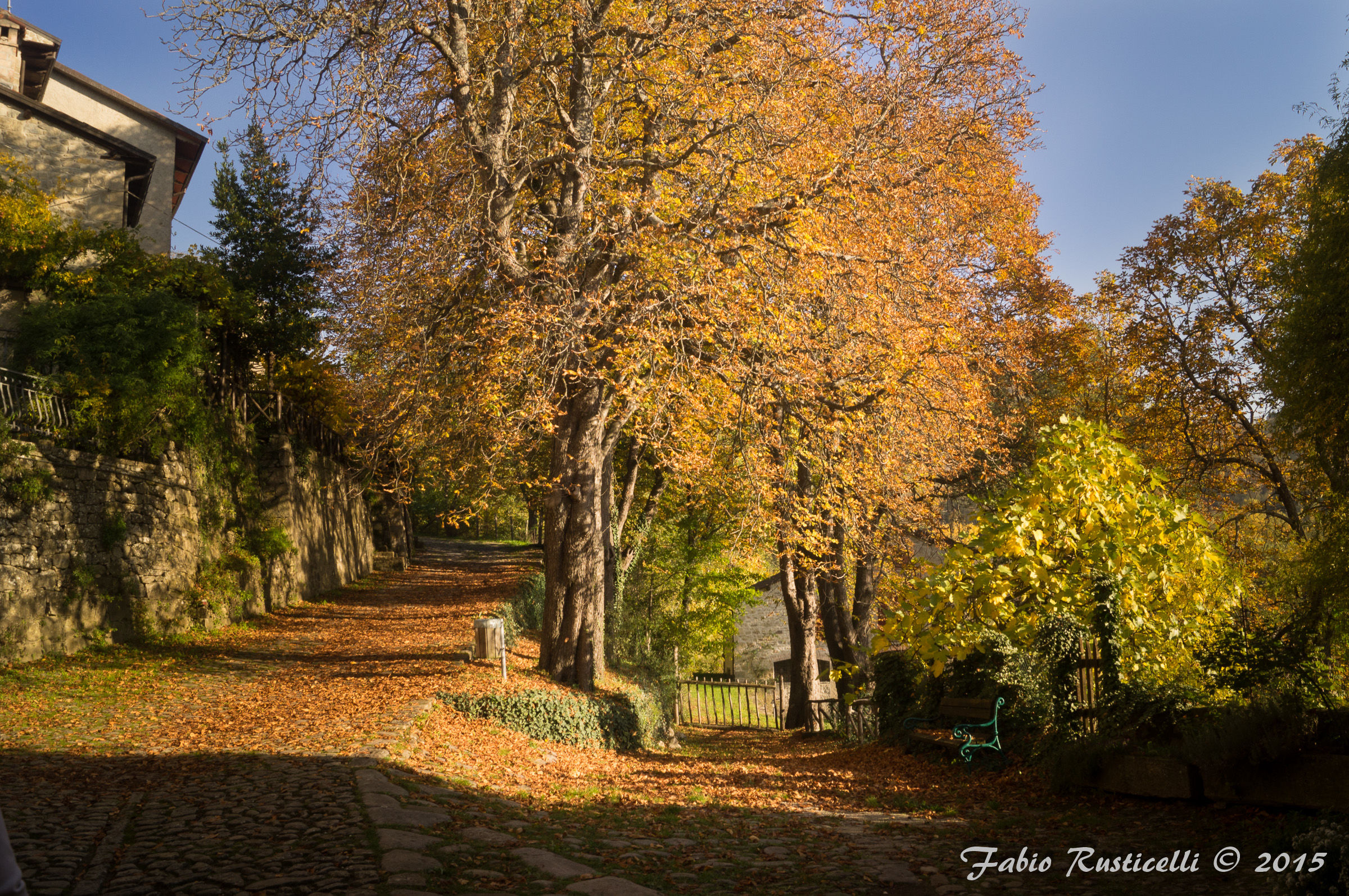 Autunno a Borgo La Scola