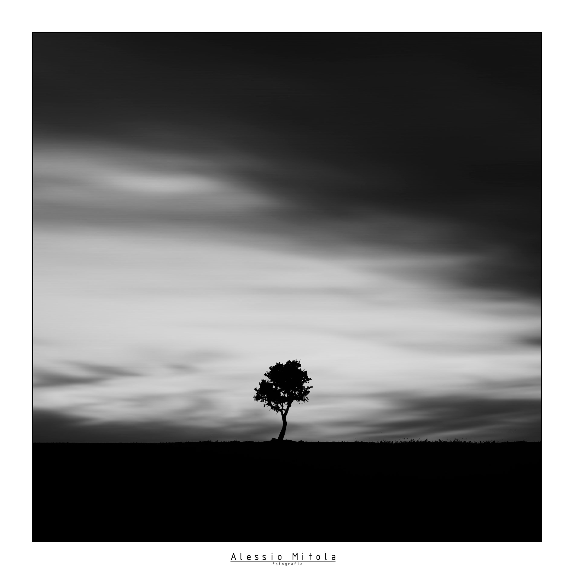 The beauty of solitude