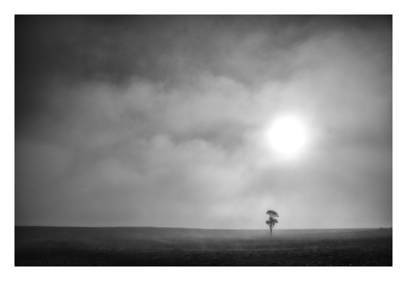 Blues in black and white