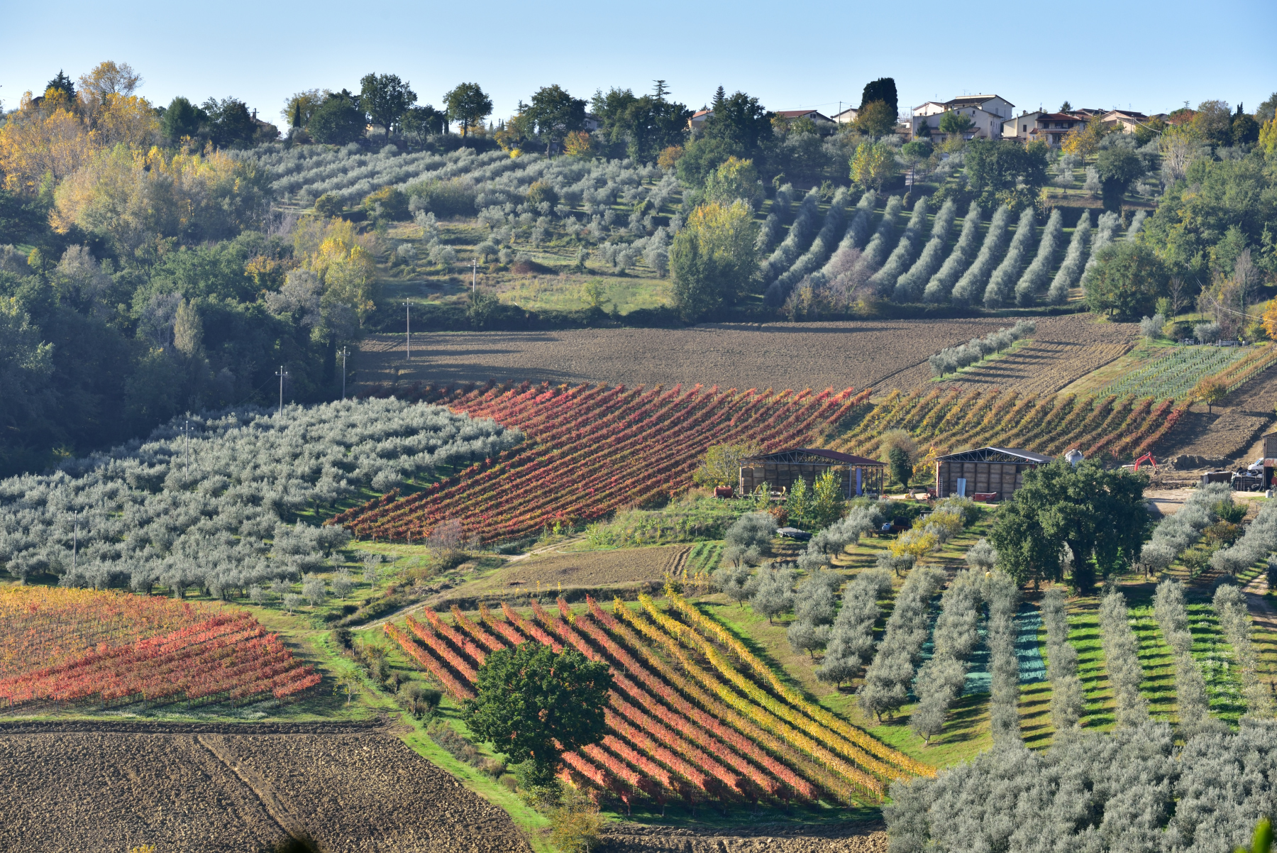Montepennino di Montefalco