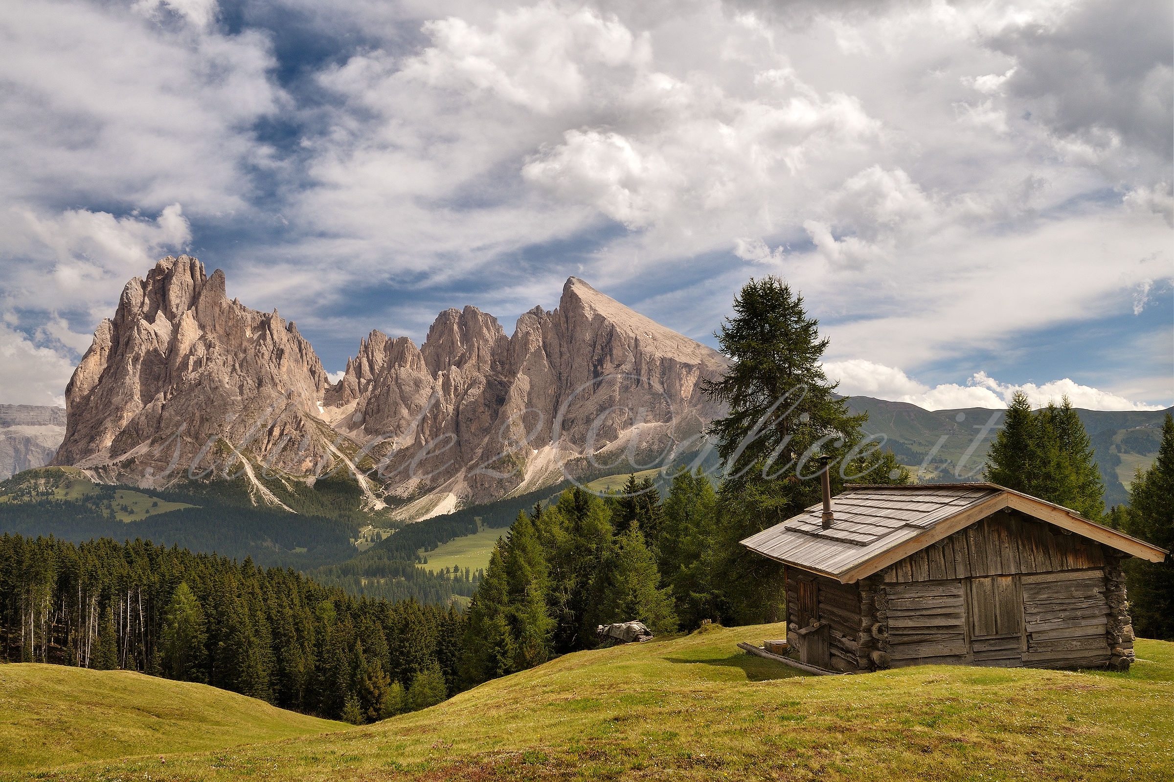 From the Alpe di Siusi (bz)