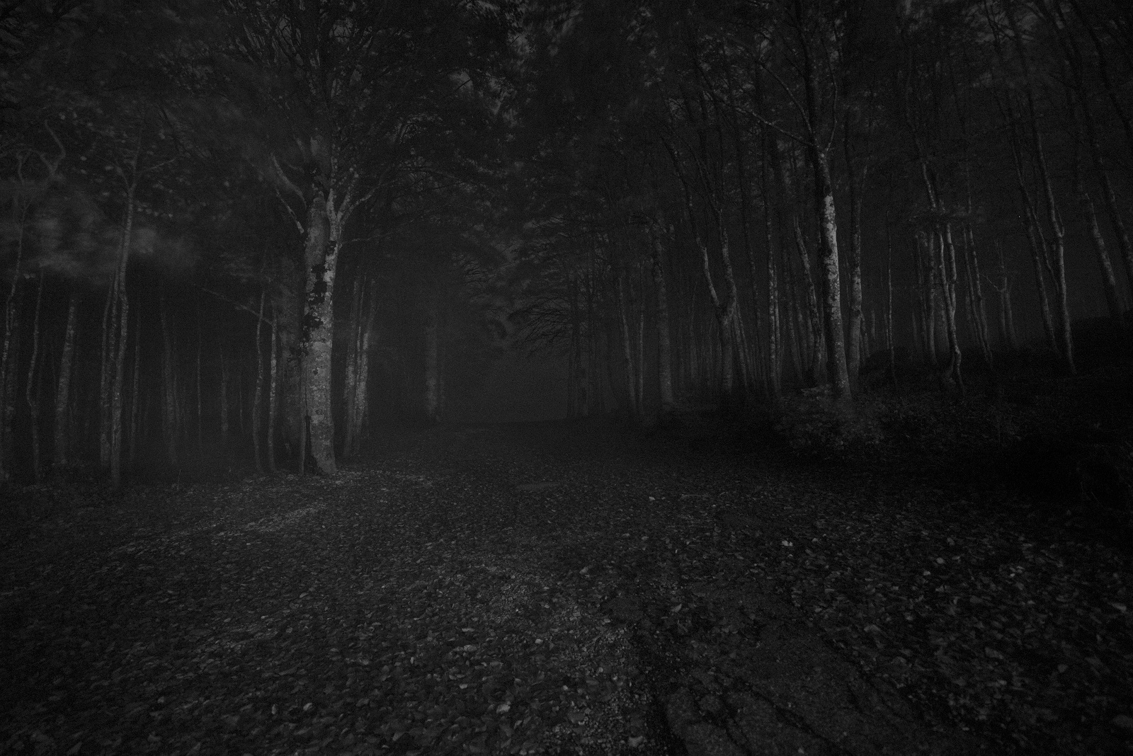 nebbia notturna monte amiata