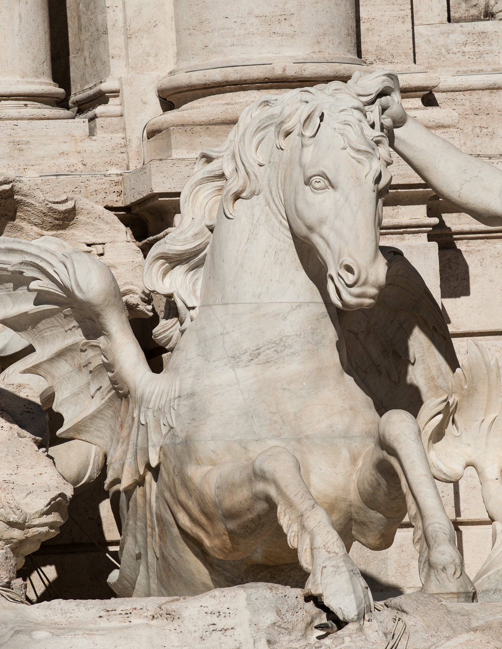 Roma-La Fontana di Trevi dopo il restauro (particolare)