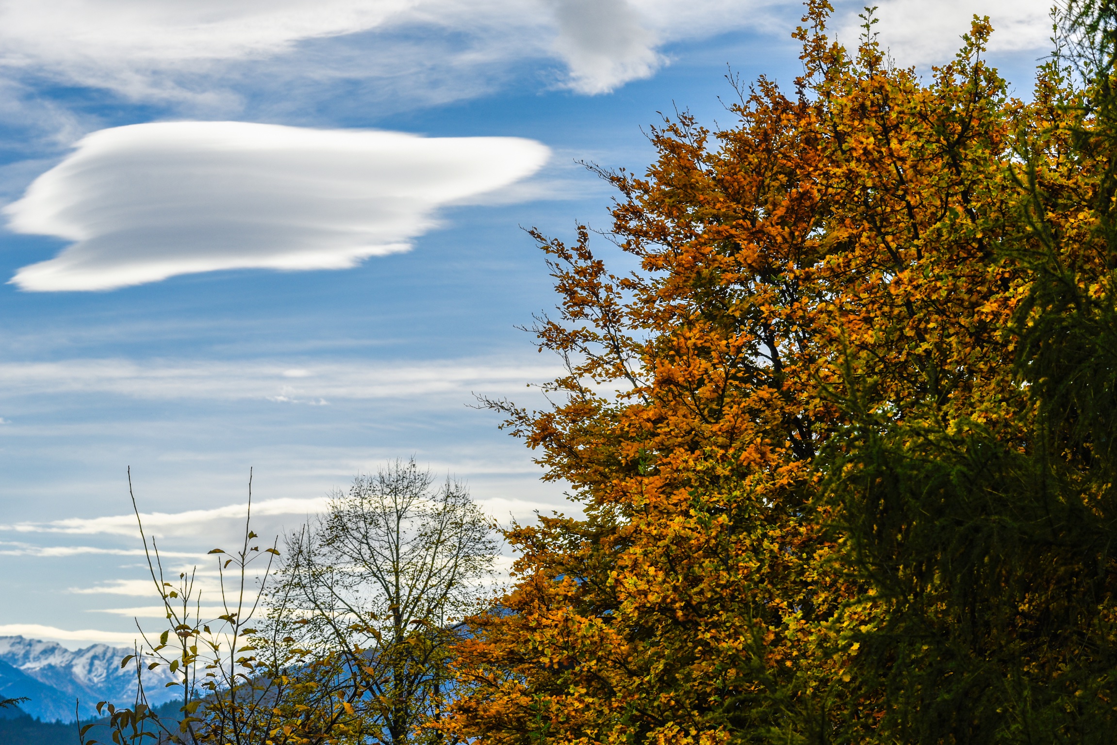 Clouds of autumn