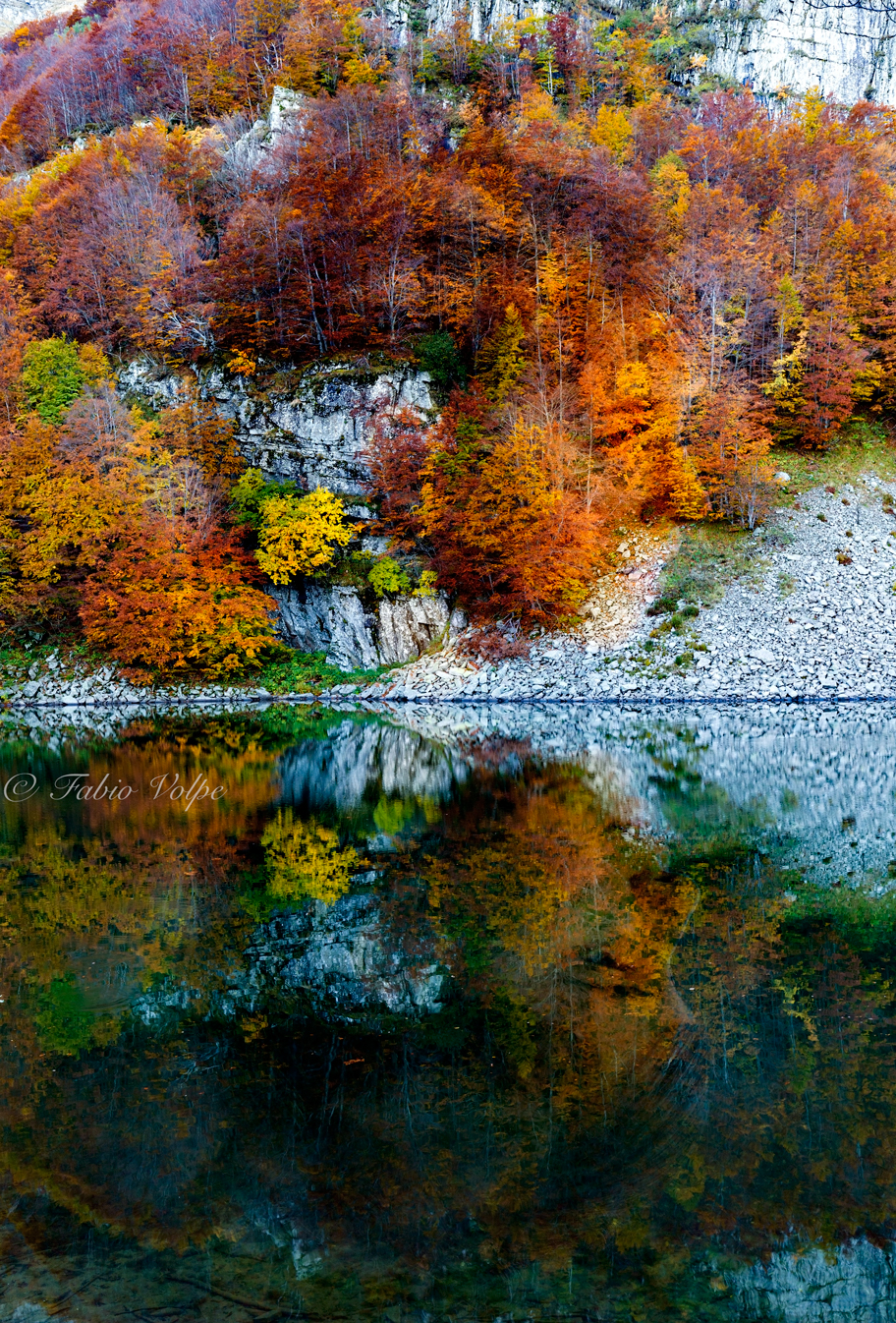 The spirit of the lake