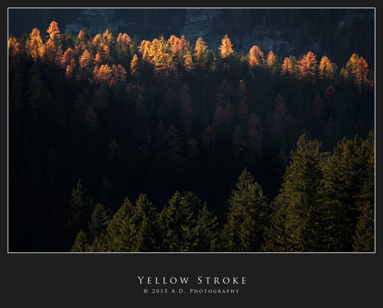 Yellow Stroke