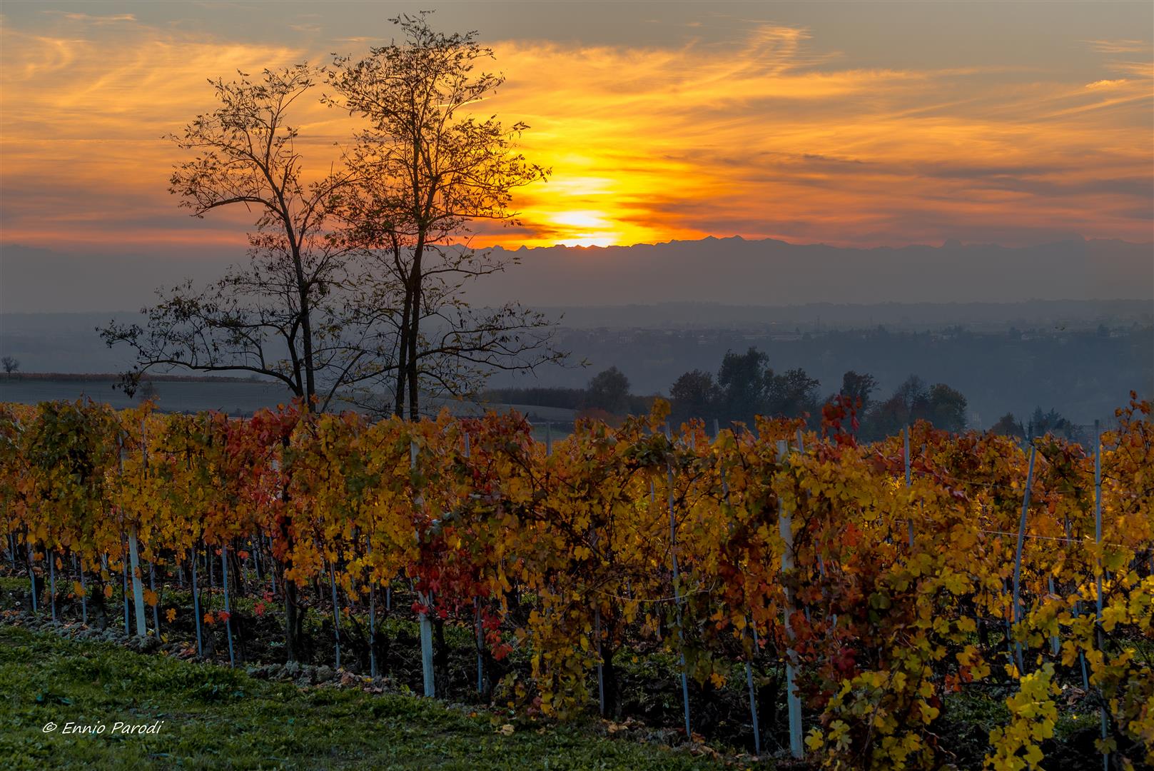 Walking in the Langhe