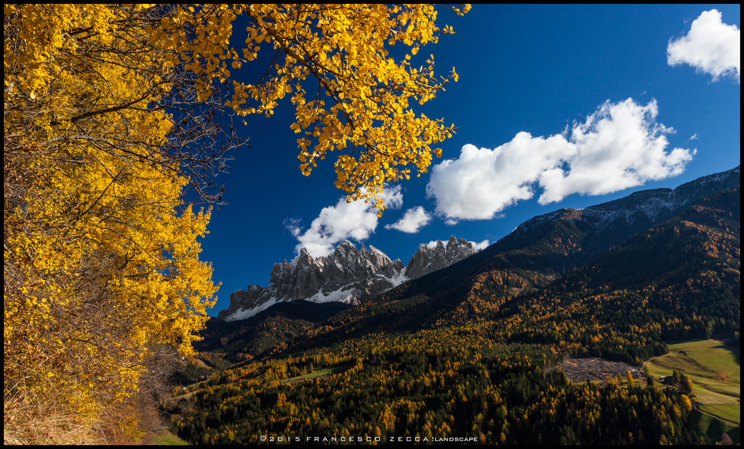 The yellow of the Val di Funes