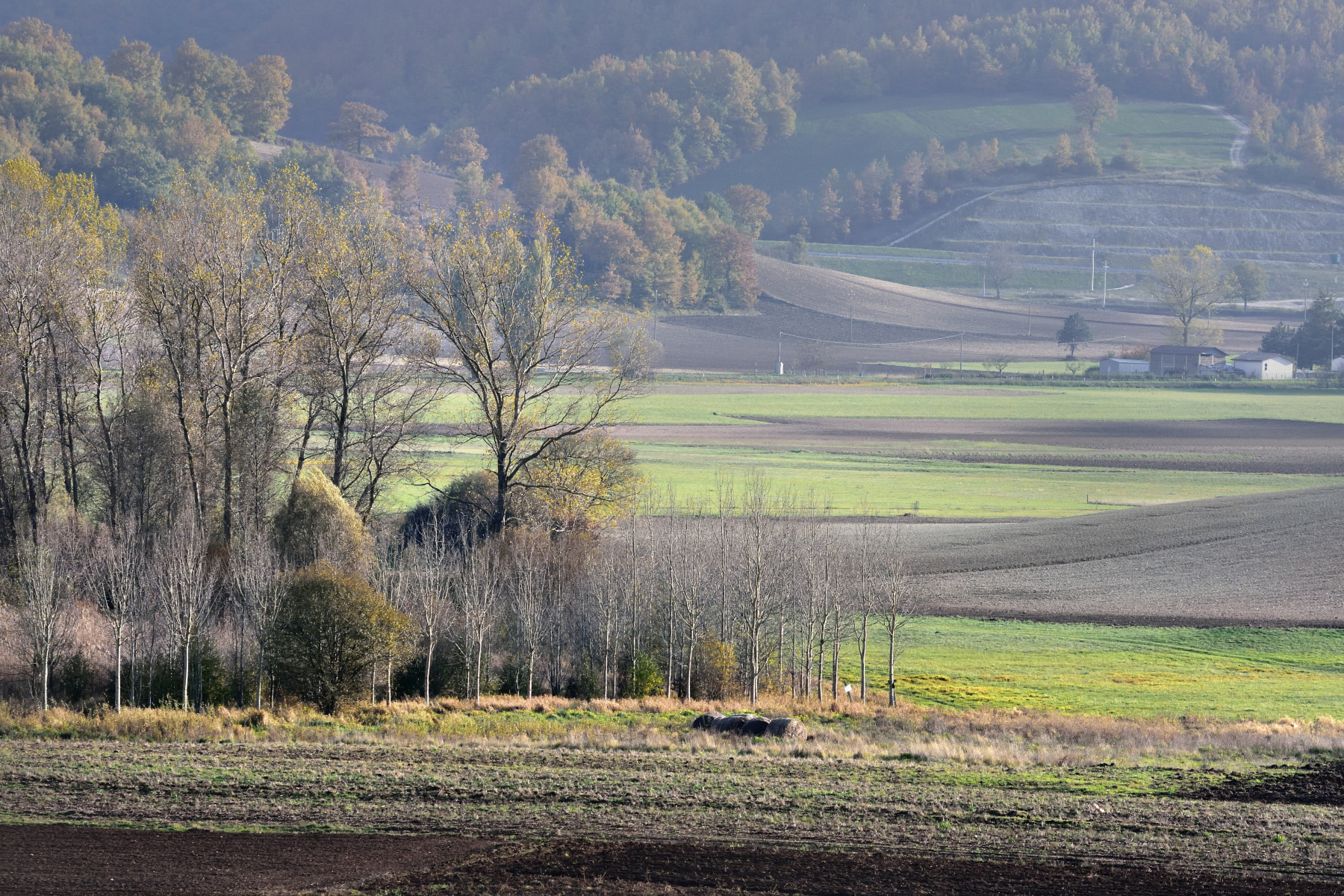 Protected natural area of ??Colfiorito