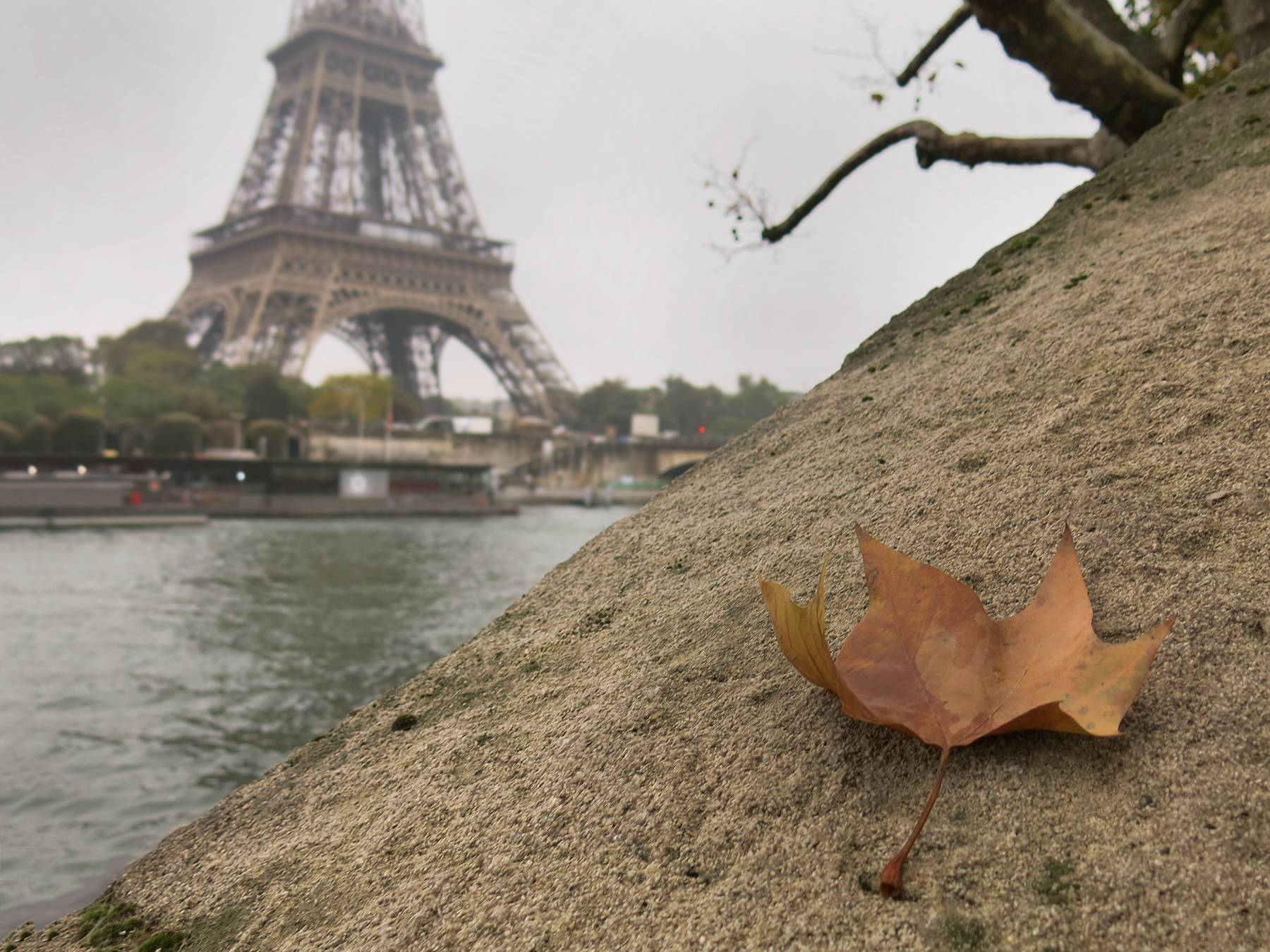 Autumn in Paris