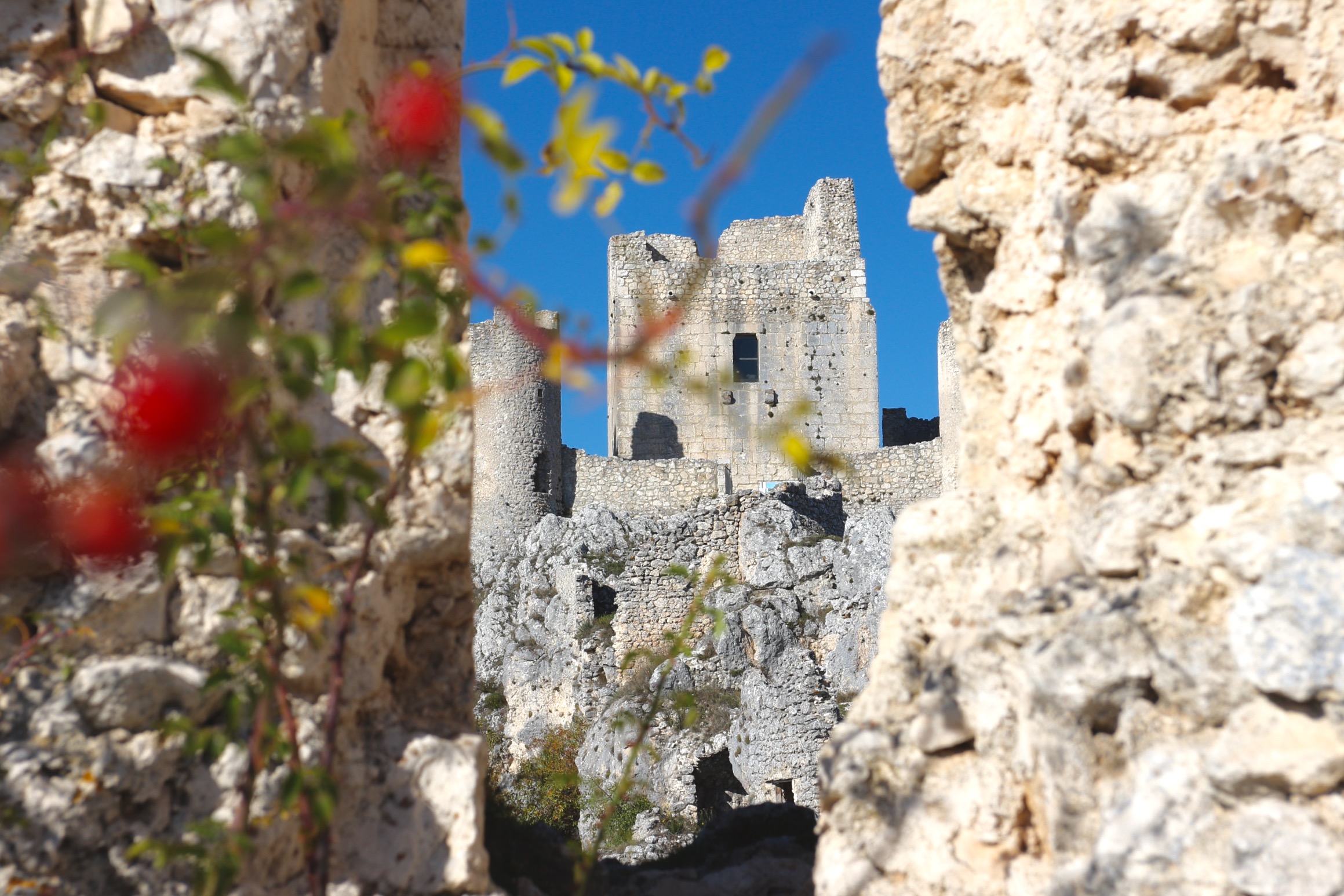 Calascio, la Rocca nel buco...con bacche.