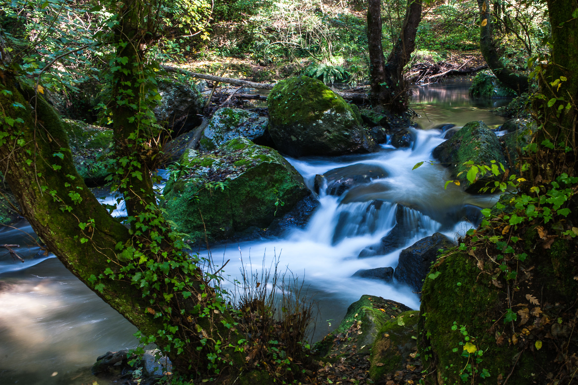 Acqua...  (Cascate del Treja-Calcata, Vt)