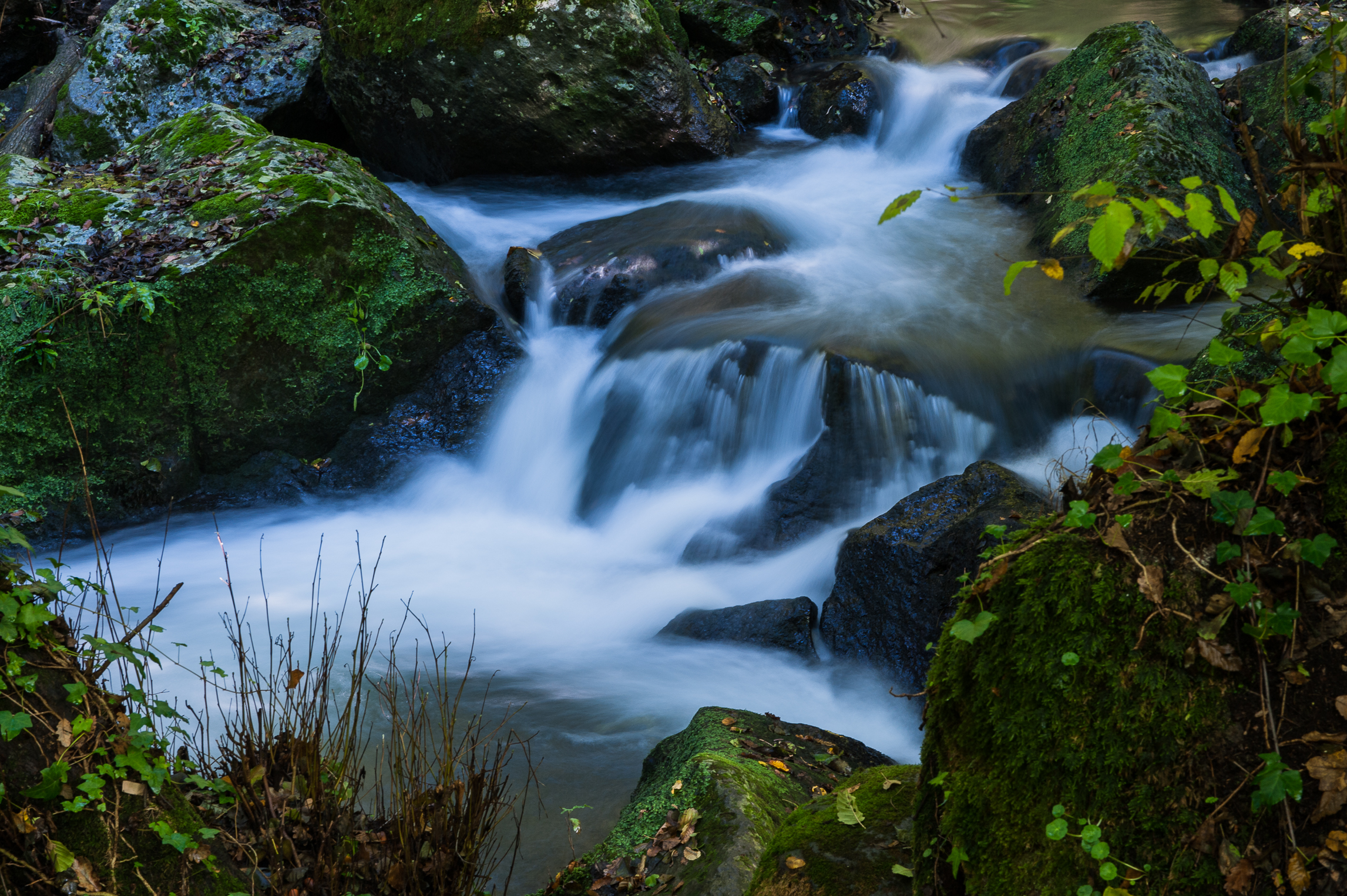 Acqua...   (Cascate del Treja-Calcata, Vt)