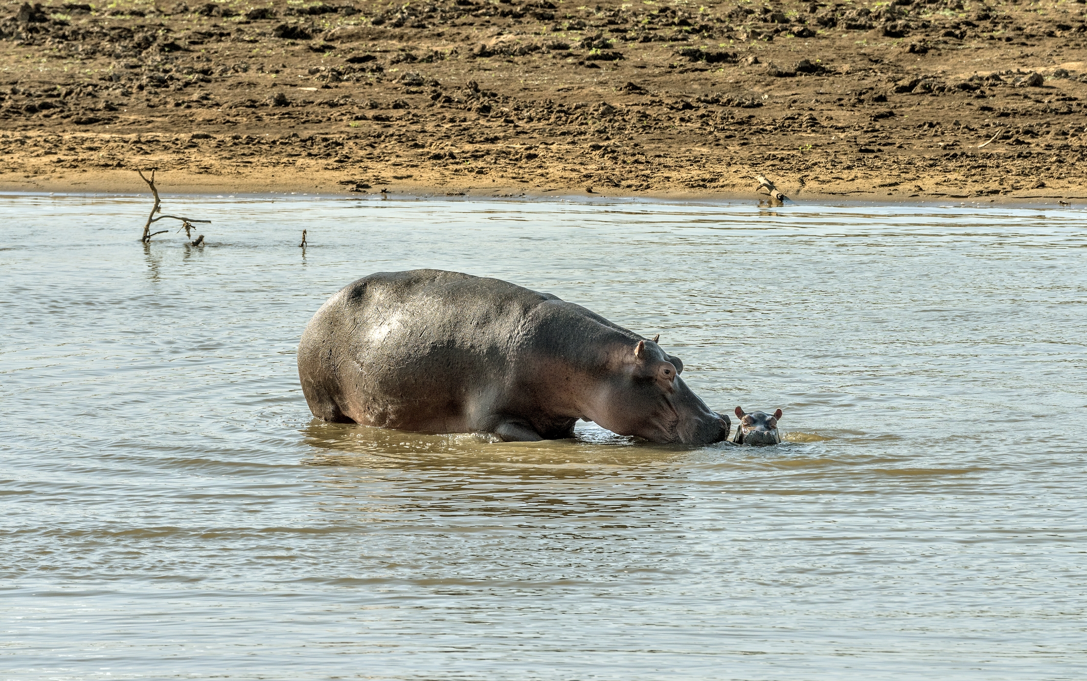 Zambia 2015 - Il bagnetto con la mamma