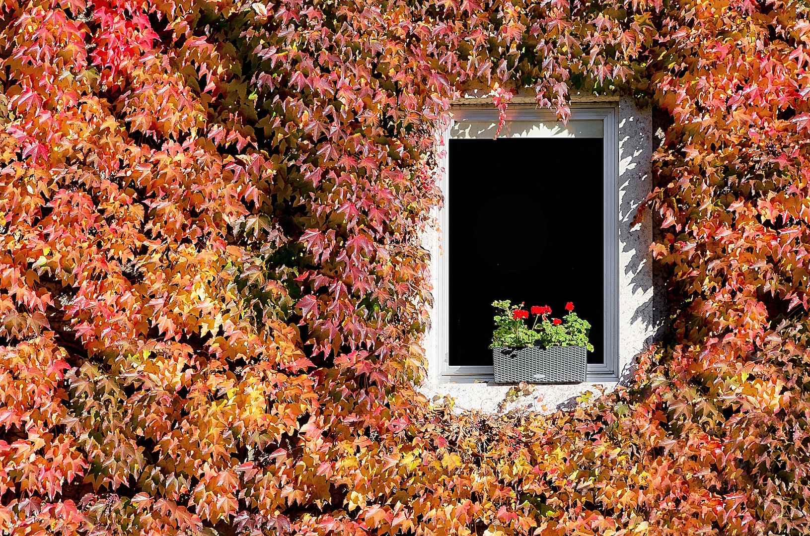 Una finestra nell'Autunno