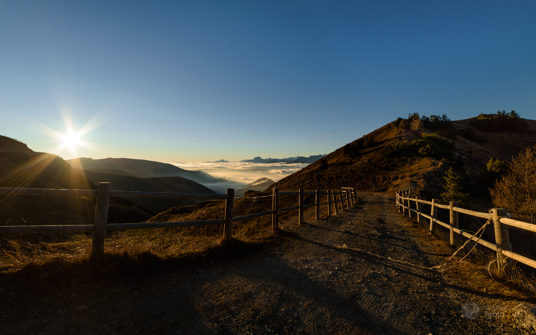 Ponte per Terabithia