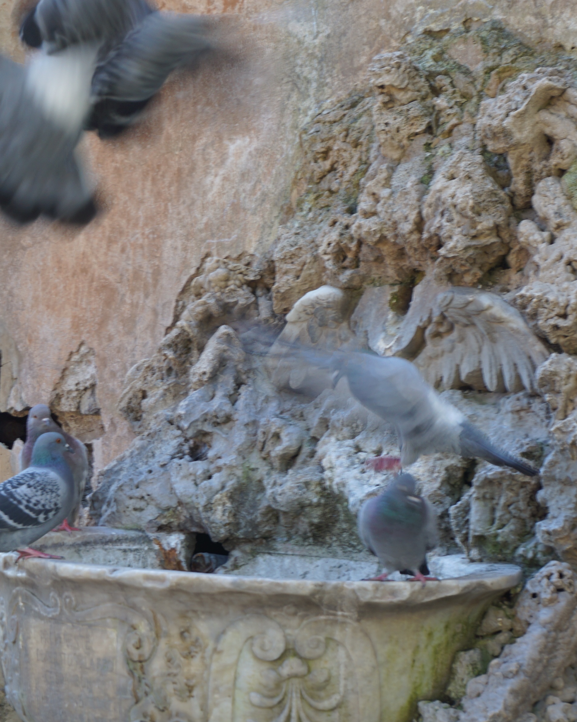 Fontana delle colombe