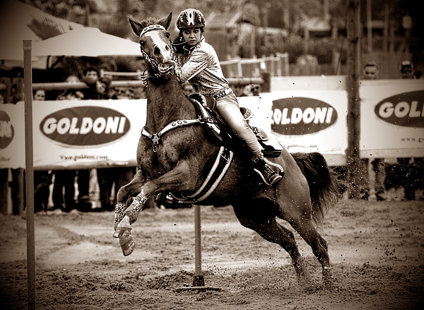 Barrell On the Beach - Arma di Taggia 2015