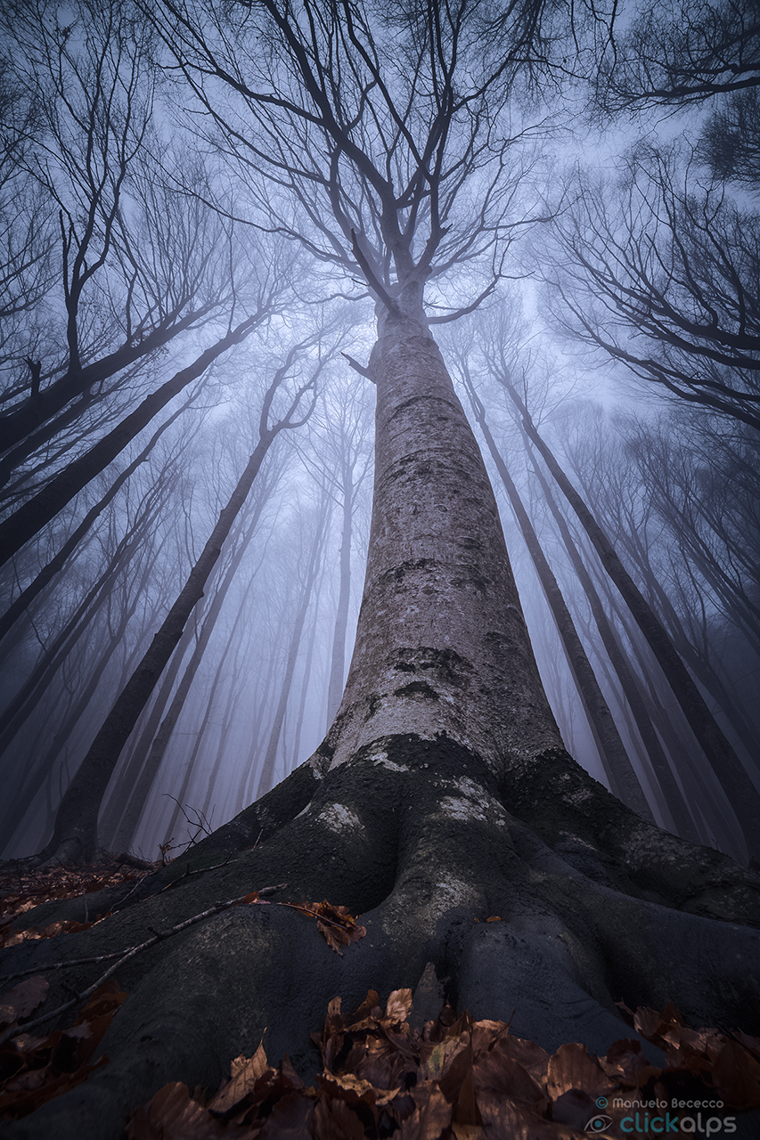 Effusam caliginem quam periculosum