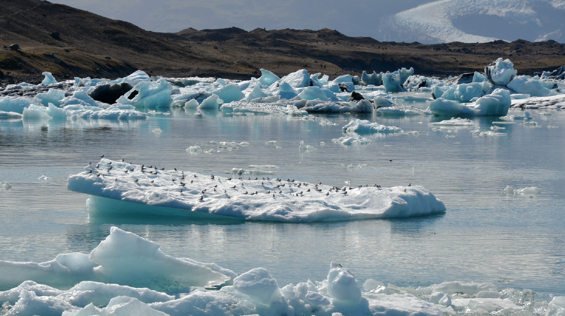 Tutti sulla zattera!!