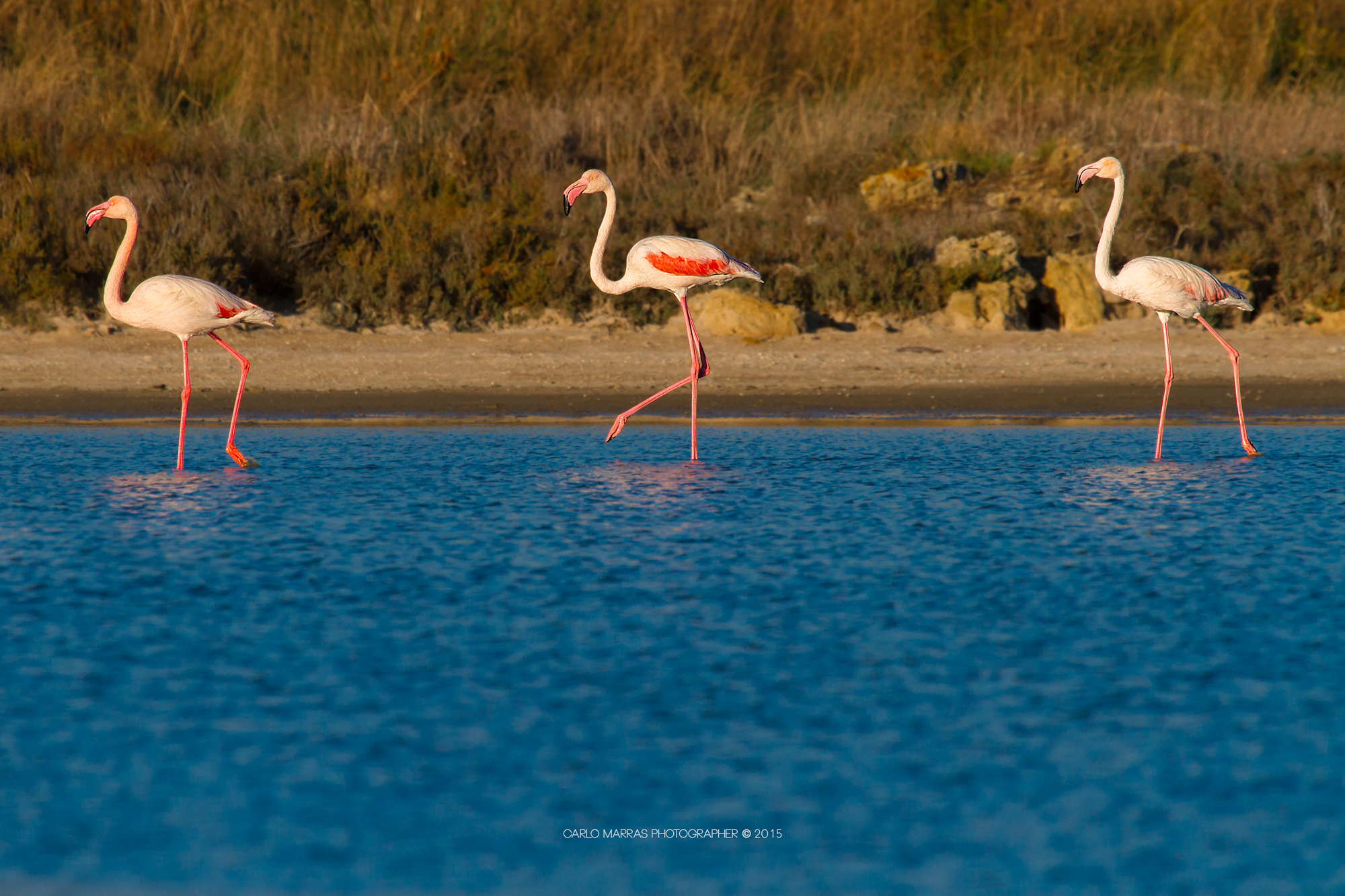 Dance in three steps