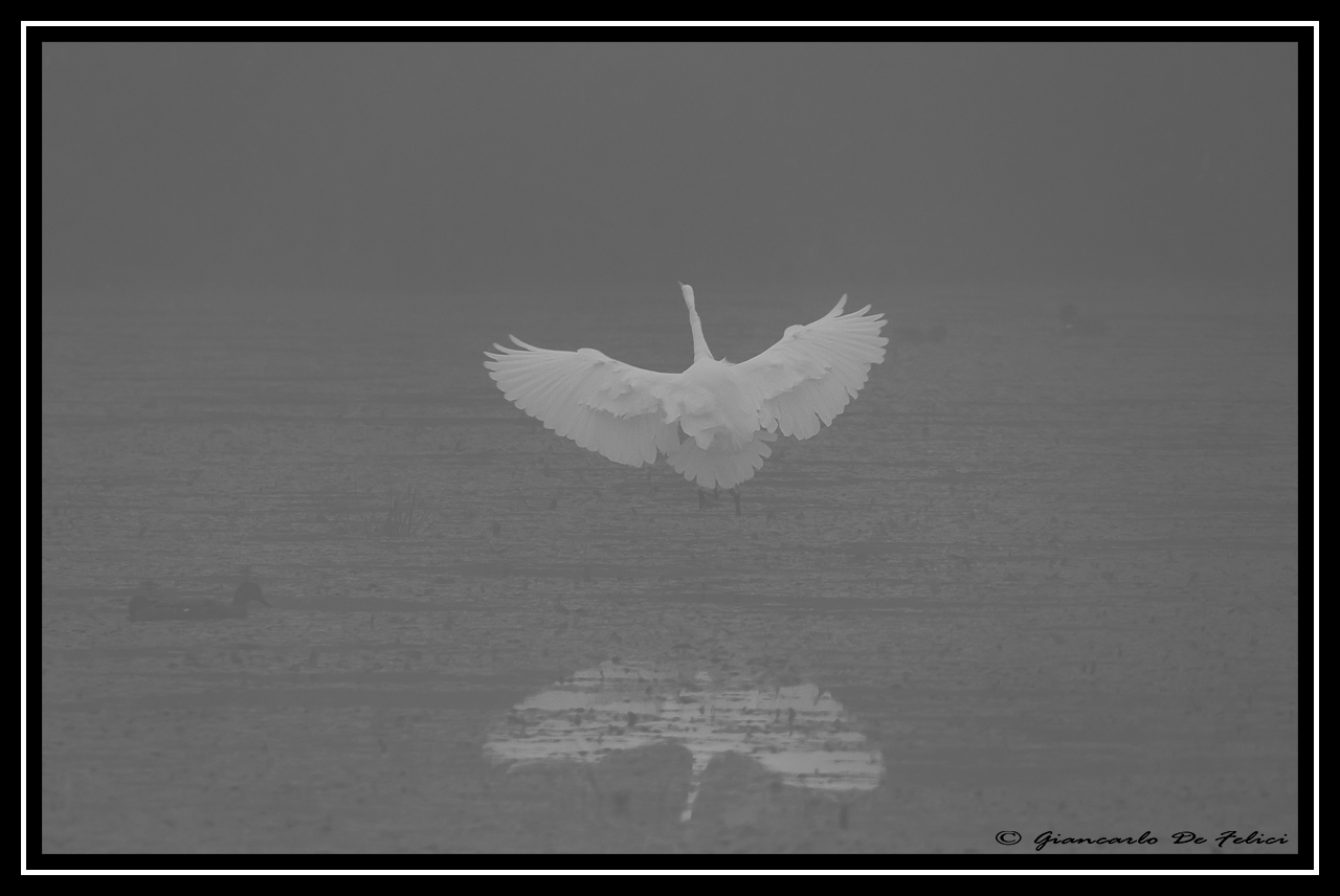 On a cold autumn morning