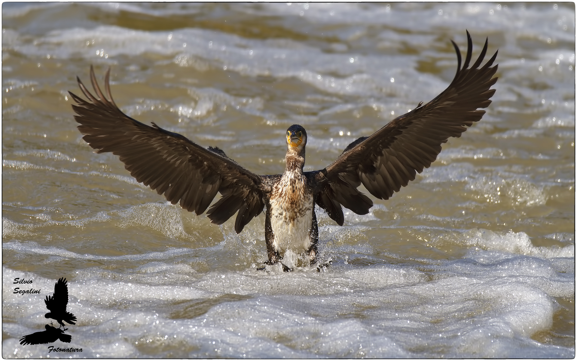 un bel.....bagno schiuma !!!