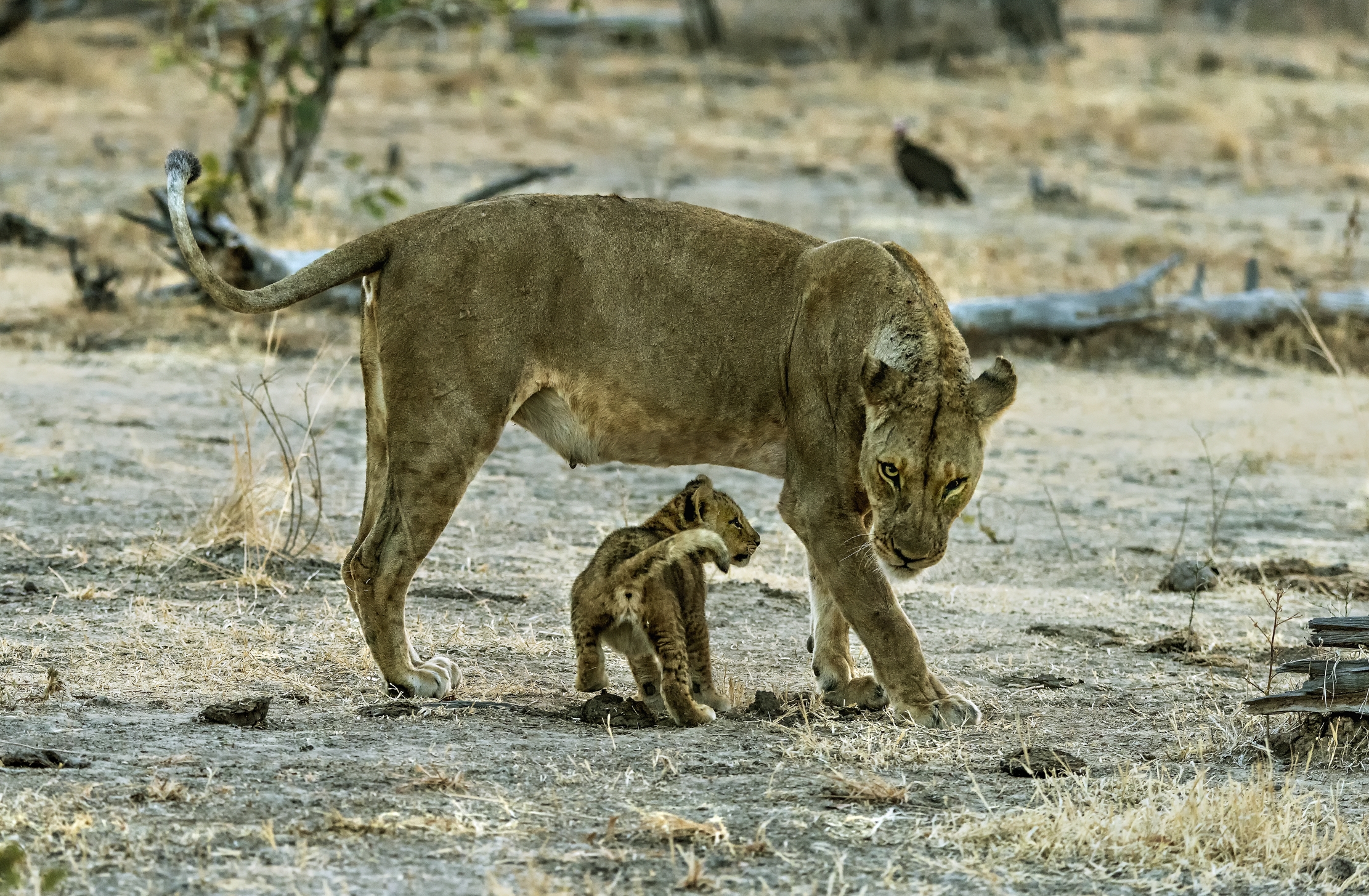Zambia 2015 - Giochi con la mamma