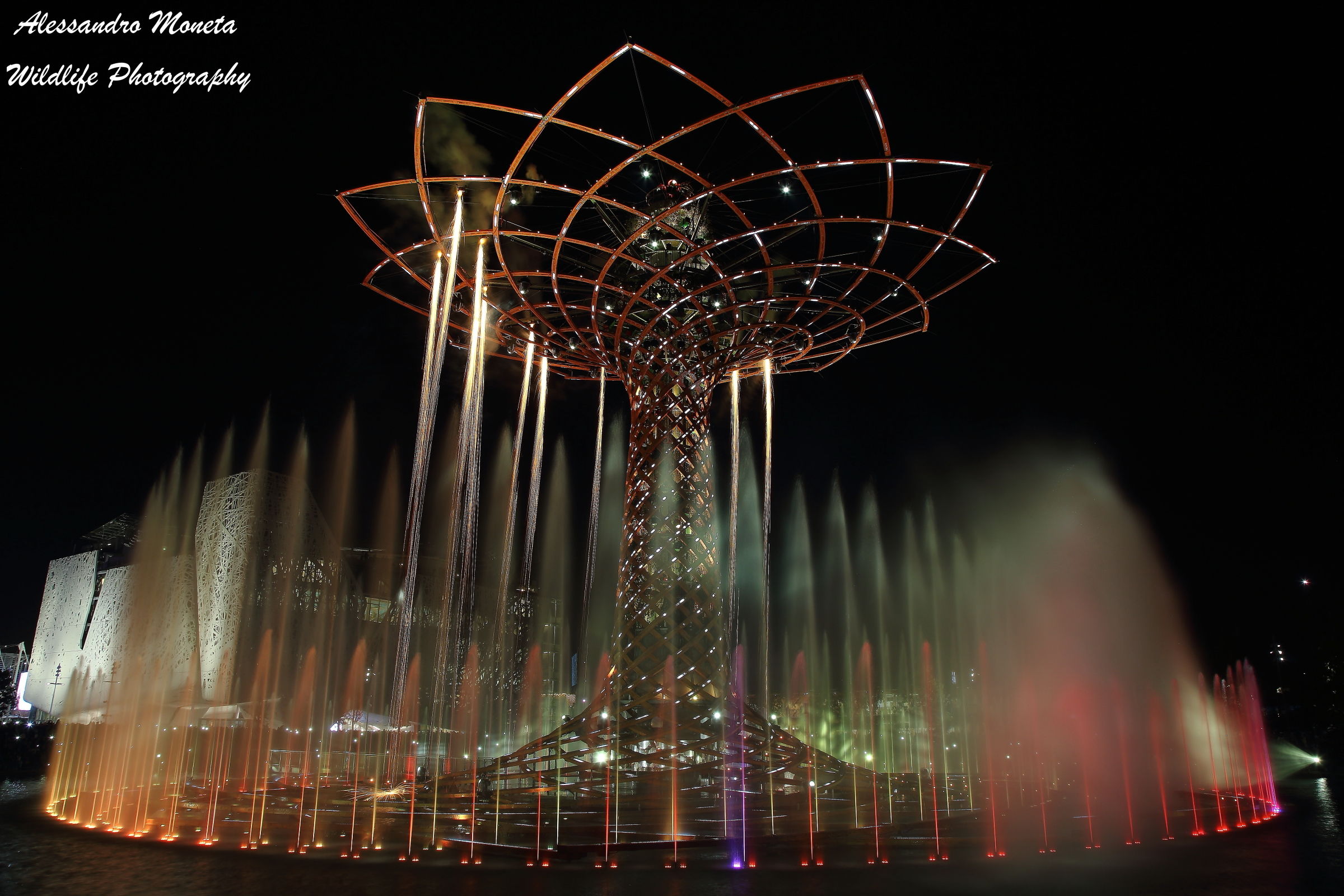 I turned on the engine, ready for takeoff!