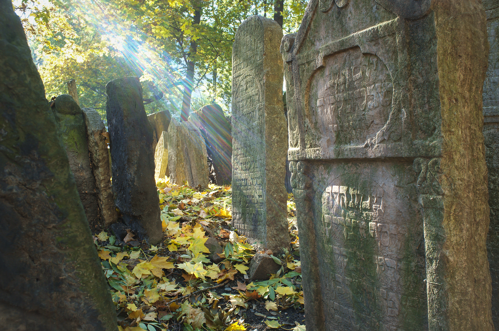 Cimitero ebraico di Praga 1