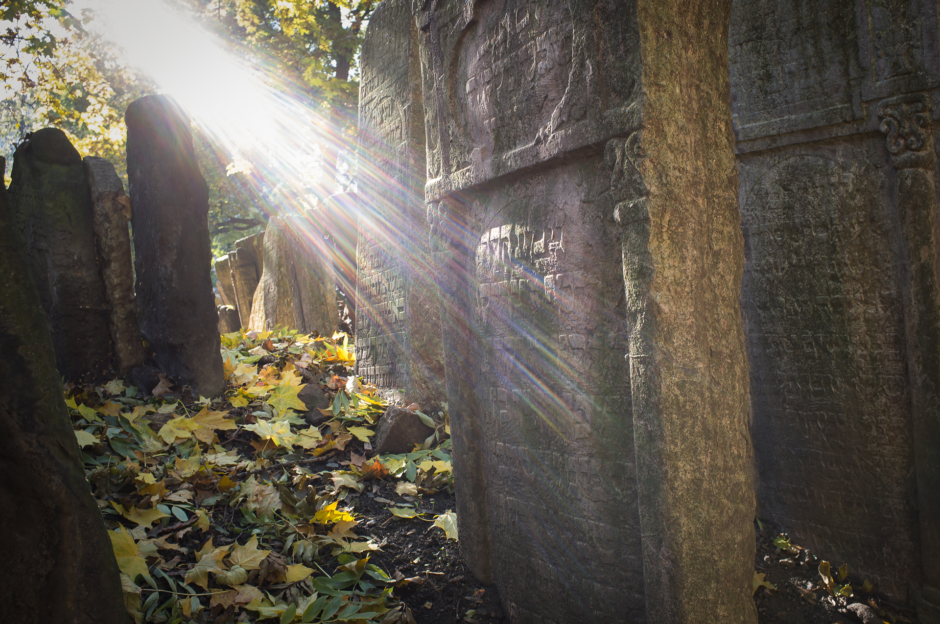 Cimitero ebraico di Praga 2