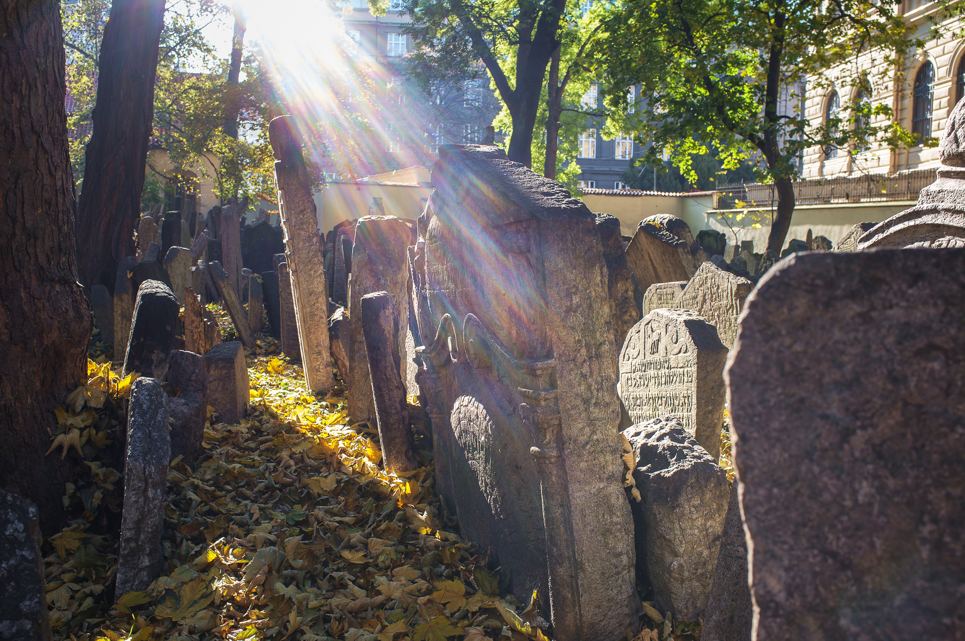 Cimitero ebraico di Praga 3