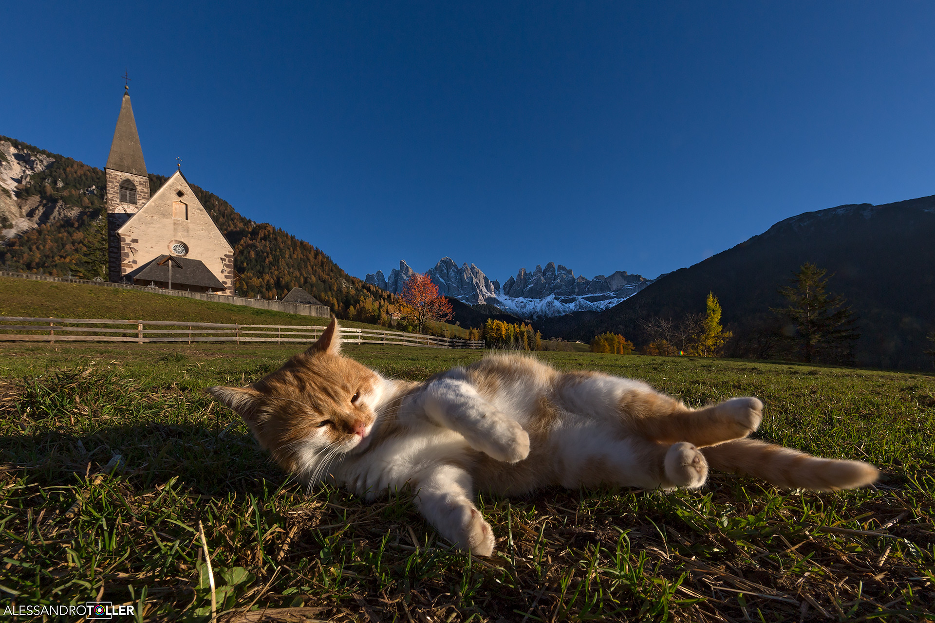 Relax in Val di Funes