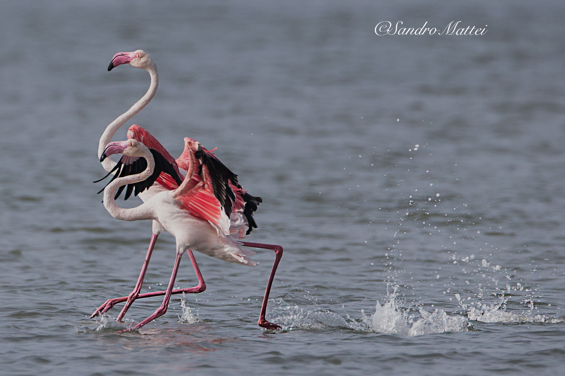 ....... Pas two ......