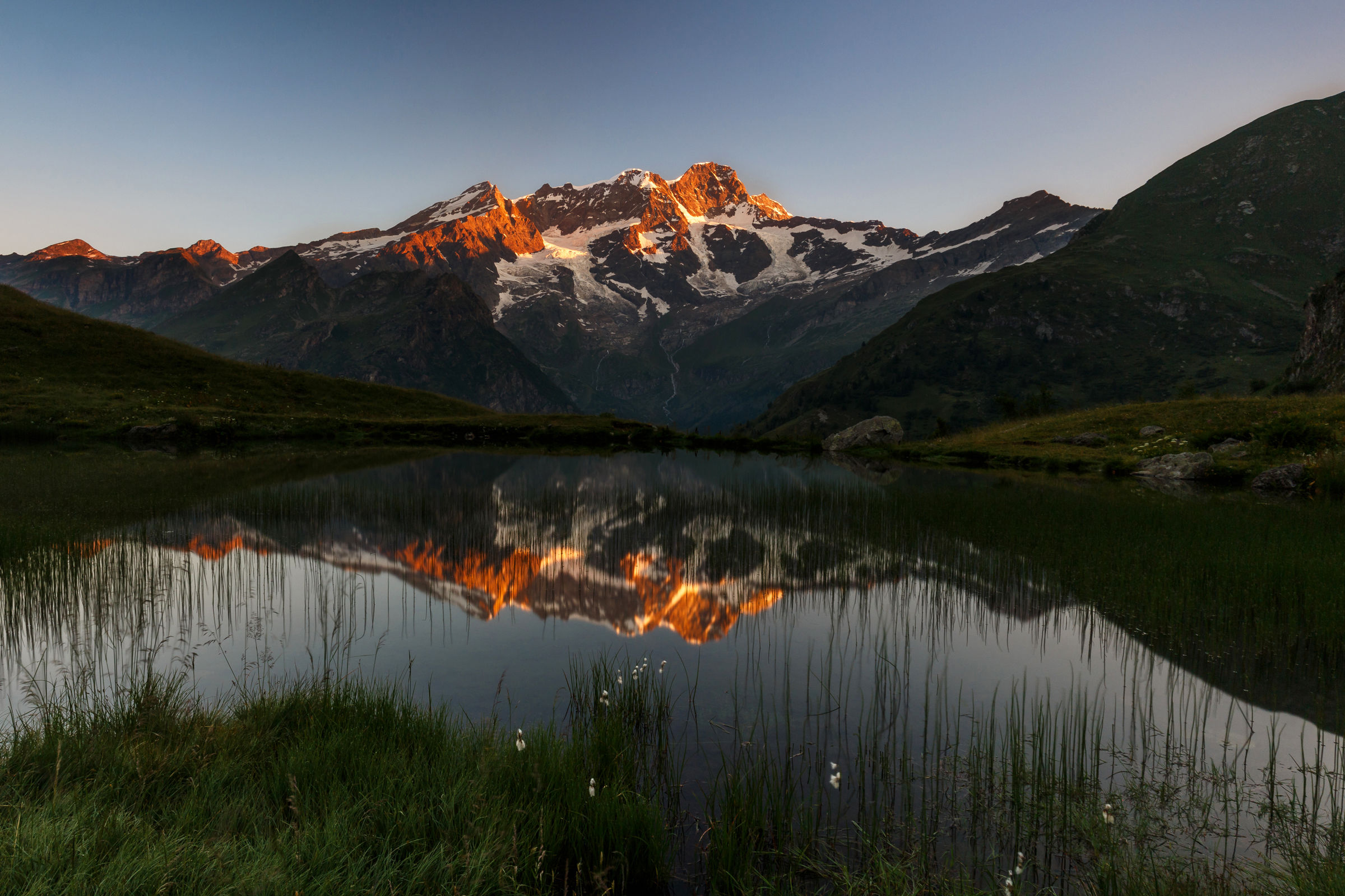 The first light on Rose