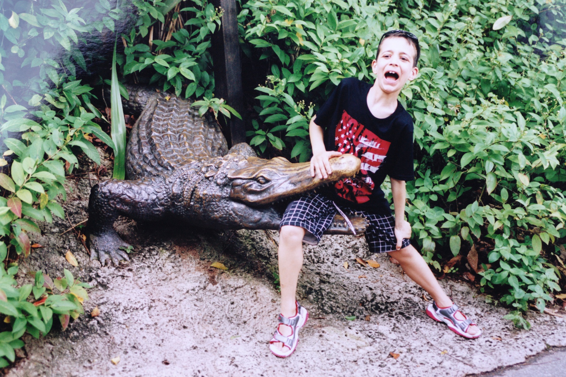 lurking at the zoo in Singapore