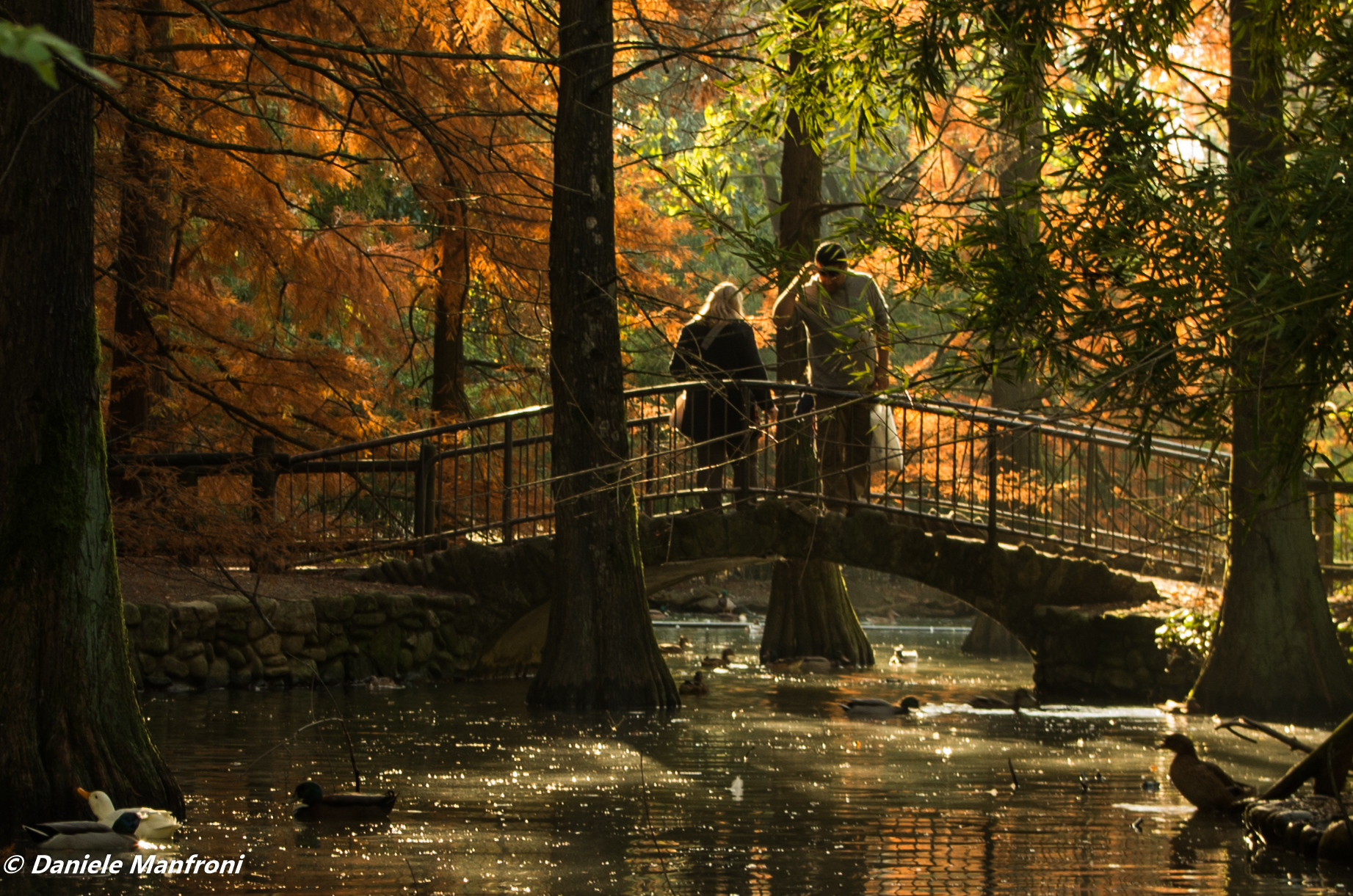 Autunno al parco Bucci a Faenza