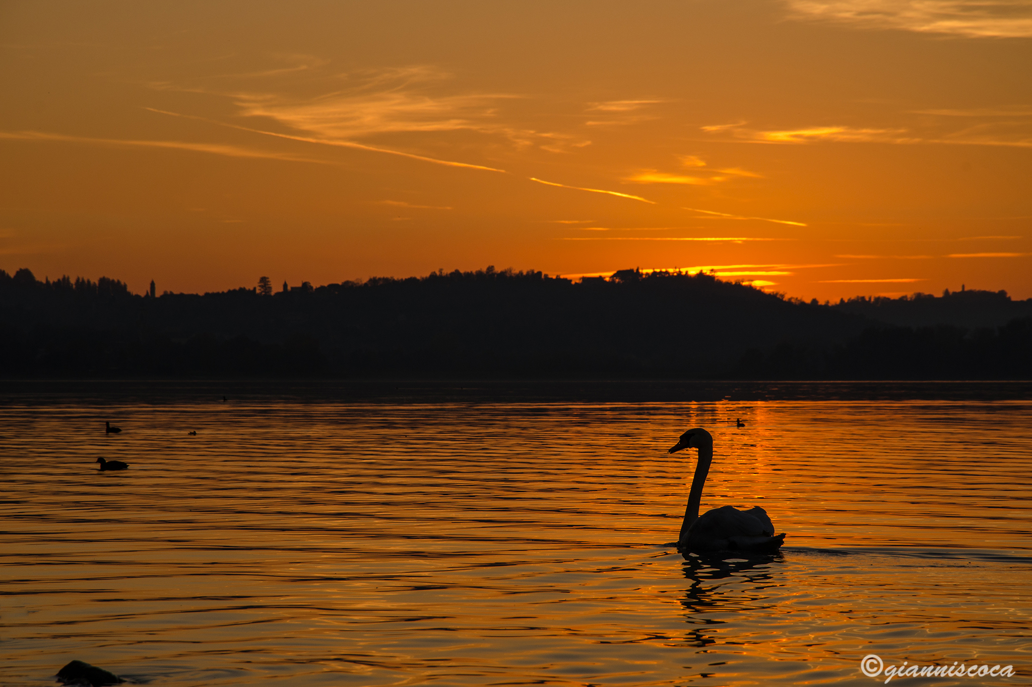 Sunset Lake Pusiano