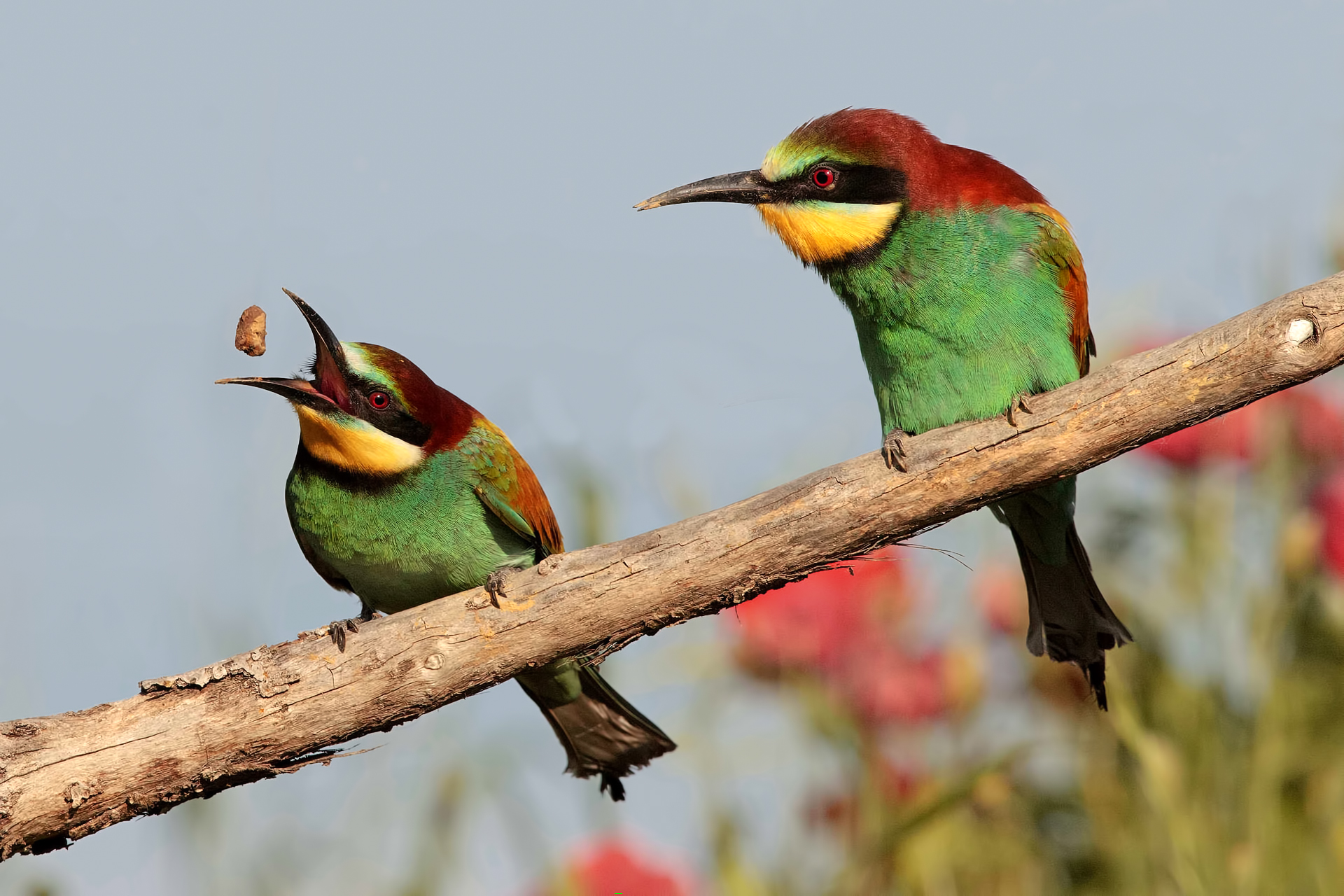 giocando con la terra...