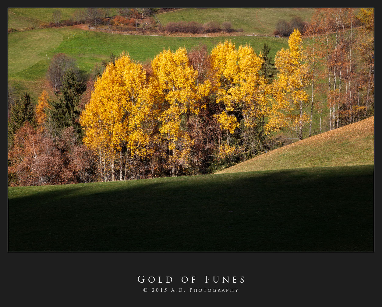 Gold of Funes