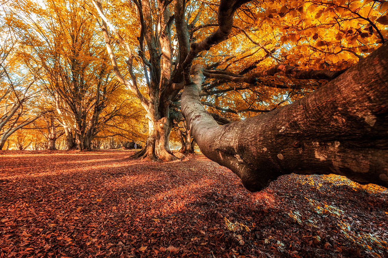 Autunno al San Vicino