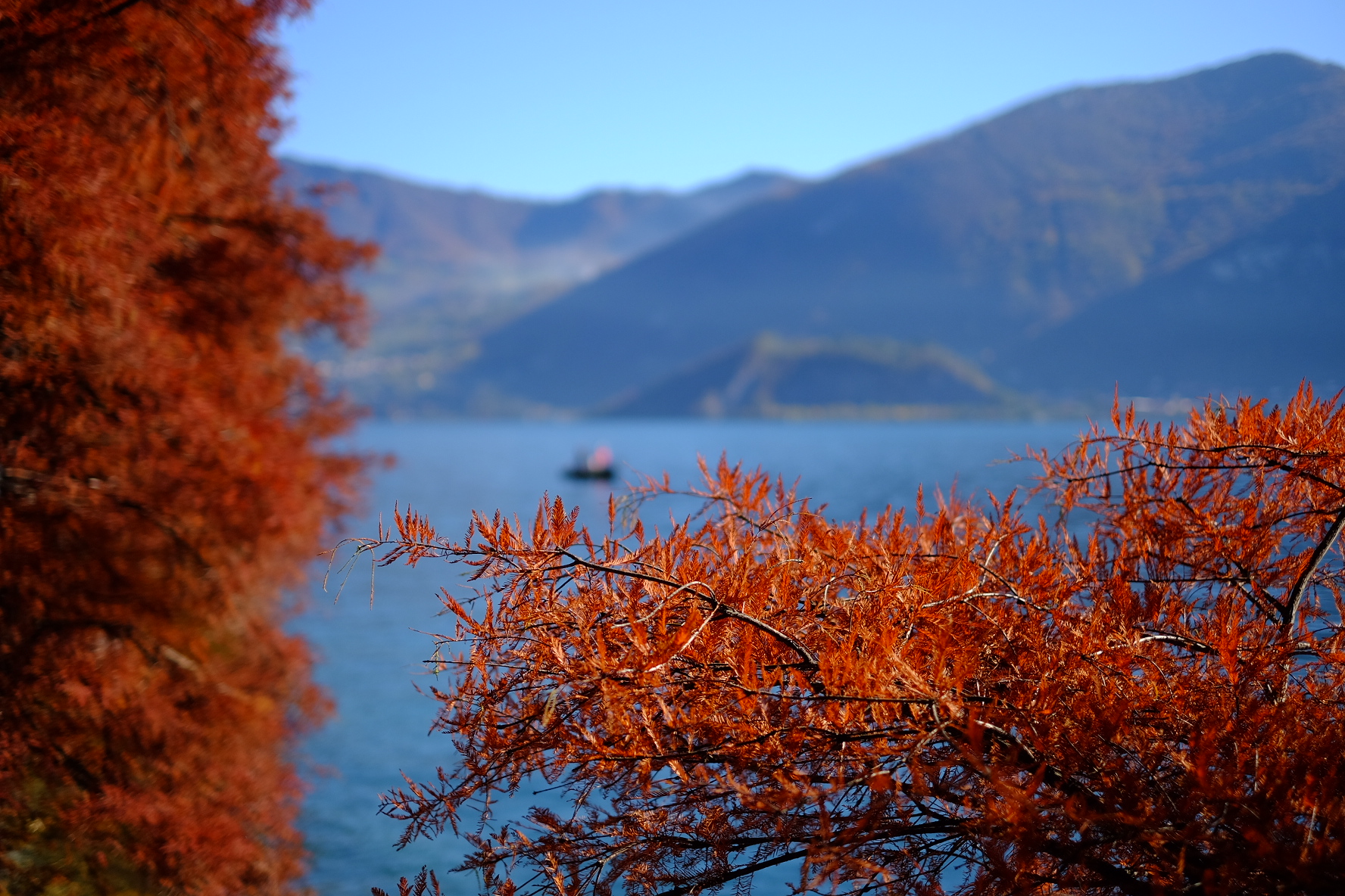 Colori d'autunno d'autunno sul lago
